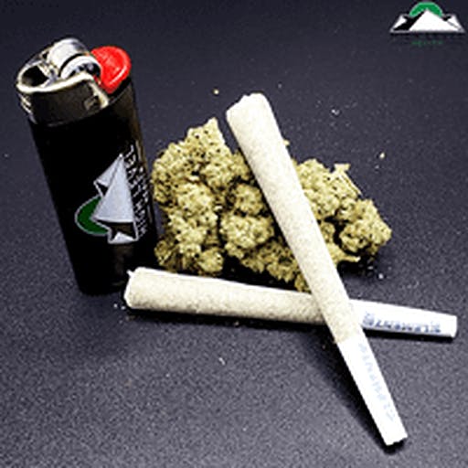 (REC) Guava Pre-Roll